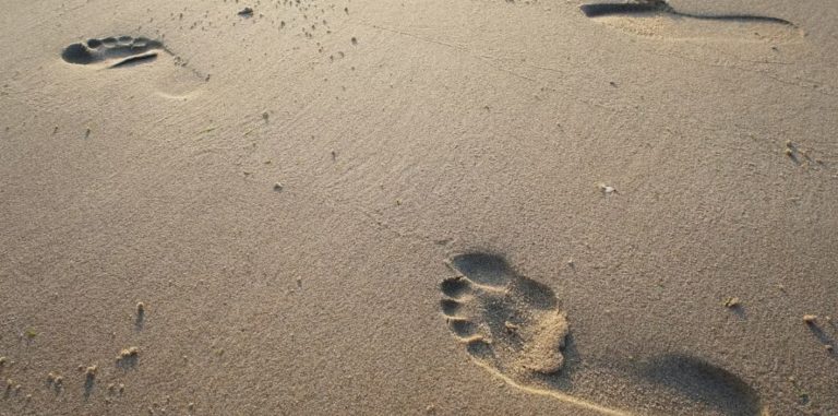 empreintesnumeriques